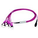 MPO Harness 12x2,1mm OM4 12LC MM 1,0m; type A, MPOm+LC MM...