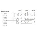 InLine TAE Adapterkabel, RJ45 Stecker auf TAE NFN Dose, 20cm