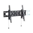 PureMounts® TV Halterung - Tilt - VESA 200-600, schwarz