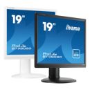 iiyama ProLite B19, 48,3cm (19), Kit, schwarz