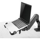 InLine® Notebook-Halterung bis 17" mit VESA 75/100 Montageplatte