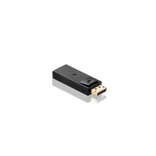 HDSupply DisplayPort/HDMI Adapter 1080p