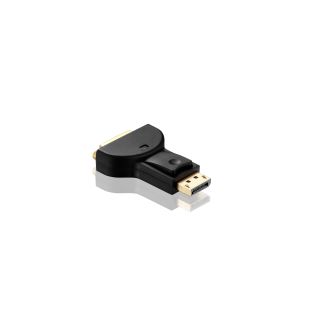 HDSupply DisplayPort/DVI Adapter 1080p