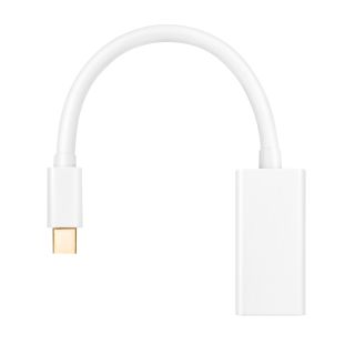 HDSupply Mini DisplayPort/HDMI Adapter 1080p