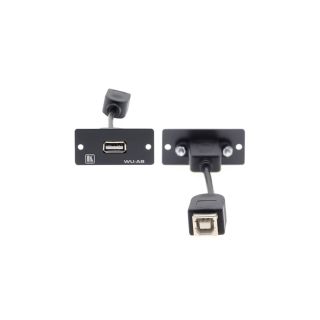 Wall-Plate Einsatz mit USB-A / USB-B Durchgangsverbinder  - schwarz