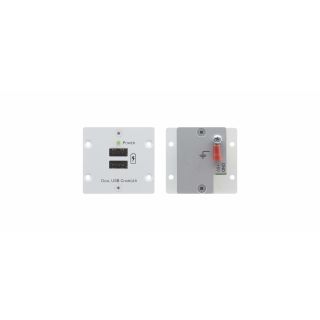 Wall-Plate Einsatz  - 2x USB-Ladeausgang  - schwarz