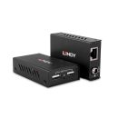 100m 2 Port USB 2.0 Cat. 6 Extender