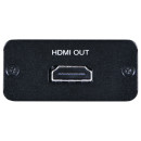 HDMI Surge Protector - Cypress CS-HHP