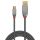 2m USB 2.0 Typ A an Mini-B Kabel, Cromo Line (Lindy 36632)