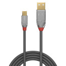 0,5m USB 2.0 Typ A an Micro-B Kabel, Cromo Line (Lindy...