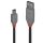 0,2m USB 2.0 Typ A an Mini-B Kabel, Anthra Line (Lindy 36720)