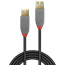 3m USB 3.0 Typ A Verlängerungskabel, Anthra Line (Lindy 36763)