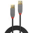 3m USB 3.2 Typ A Verlängerungskabel, 5GBit/s, Anthra...