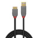 0.5m USB 3.0 Typ A an Micro-B Kabel, Anthra Line (Lindy...