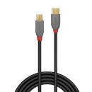 0,5m USB 2.0 Typ C an Micro-B Kabel, Anthra Line (Lindy...